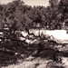 Kevin Gorman Photo 18