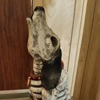 Denise Schaefer Photo 15