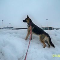 Douglas Moyer Photo 14