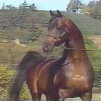Deborah Waite Photo 8