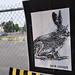 Jack Ballard Photo 22