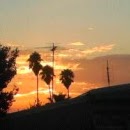 Janine Moore Photo 30 Janine Moore Photo 30