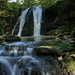 Janet Moss Photo 34