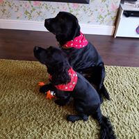 Amanda Rigg Photo 14