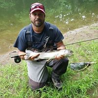 Craig Beam Photo 25 Craig Beam Photo 25