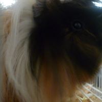 Candace Sanchez Photo 14