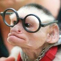 Christopher Fay Photo 25