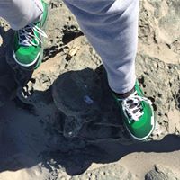 Patricia Hoag Photo 10