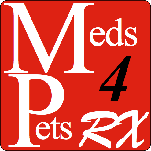 Jeremy Parrott Photo 24