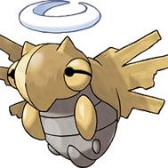 Kevin Zheng Photo 13