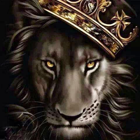 David Bright Photo 29