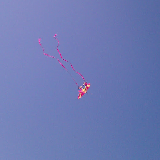 Steve Erickson Photo 37