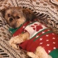 Debbie Whitman Photo 13