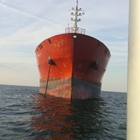 Chris Merrick Photo 41