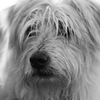 Debra Farley Photo 26