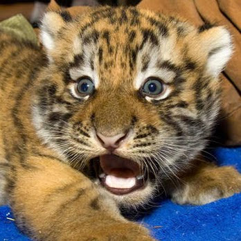 Ralph Knowles Photo 11 Ralph Knowles Photo 11