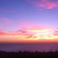 Sarah Handley Photo 33