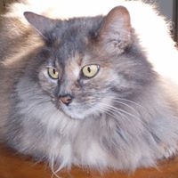 Sharon Mcgill Photo 9