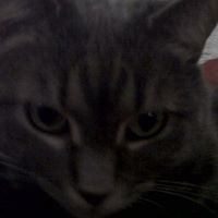 Jenny Jamison Photo 15