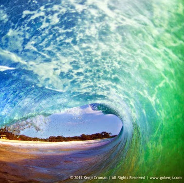 William Wampler Photo 25 William Wampler Photo 25