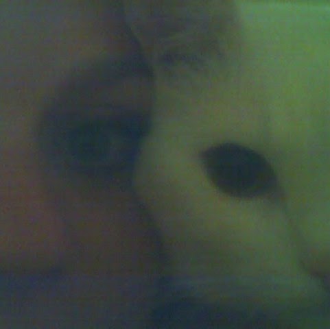 David Schroeder Photo 39 David Schroeder Photo 39