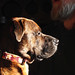 Ralph Peters Photo 32