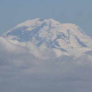 Gayle Davis Photo 22