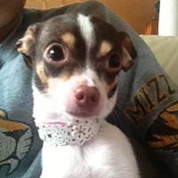 Renee Gloria Photo 1