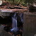 Jonathan Pyles Photo 13