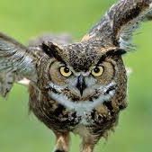 Kristi Austin Photo 20