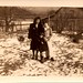 Irene Shaffer Photo 25