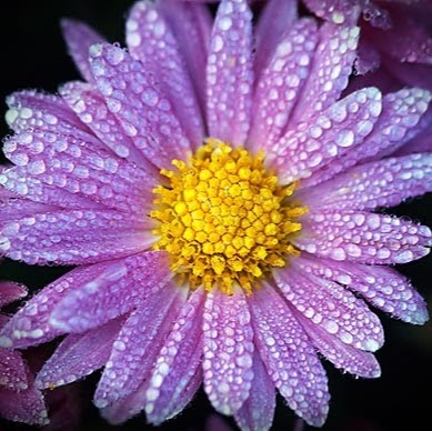 Megan Berry Photo 37