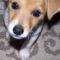 Sharon Moyer Photo 9