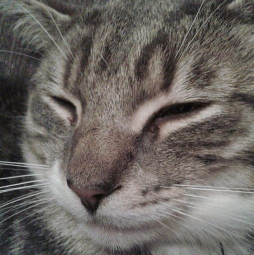 Joanna Nash Photo 11