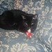 Ronnie Benjamin Photo 14