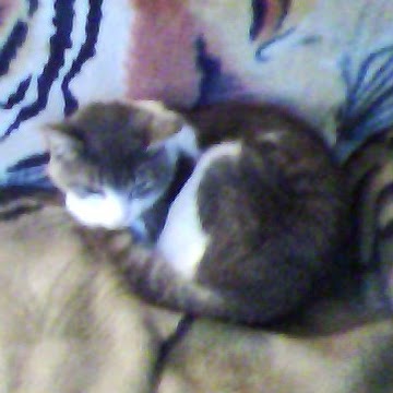 Terry Jacobs Photo 10 Terry Jacobs Photo 10