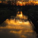 Dawn Canale Photo 1