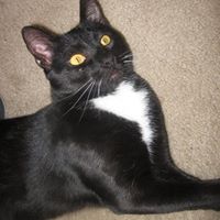 Janet Mcrae Photo 16