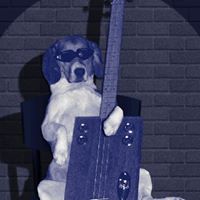 Steve Potts Photo 30 Steve Potts Photo 30