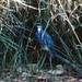 Kenneth Sheppard Photo 36