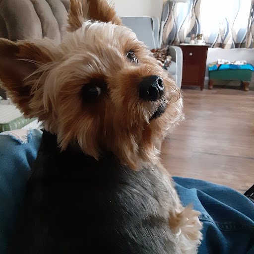 David Emmons Photo 35