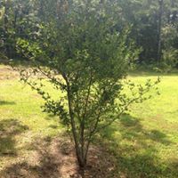 Jodi Phillips Photo 8