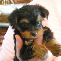 Shirley Haney Photo 11