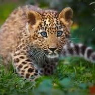 Julie Barone Photo 28