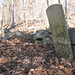 Samuel Vance Photo 16