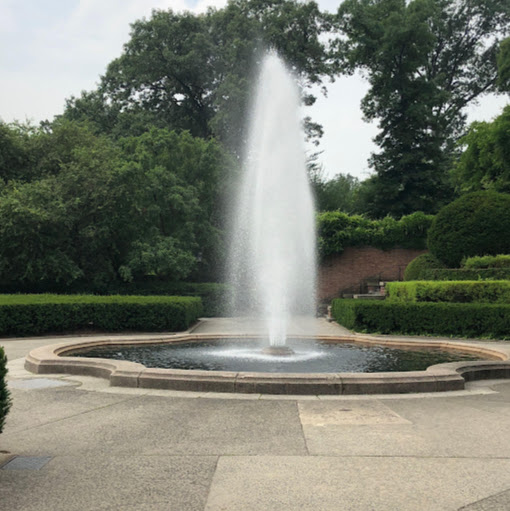 Desiree Quick Photo 5