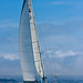 Phil Erickson Photo 17