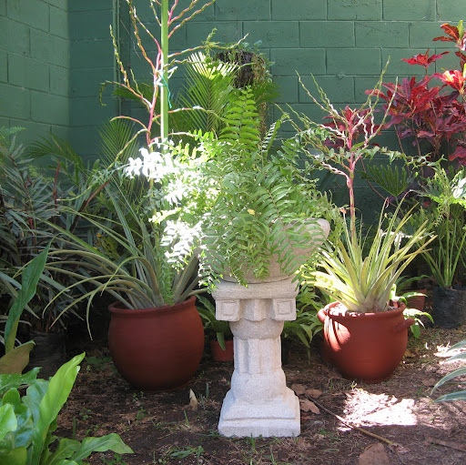 Elizabeth Chavez Photo 14