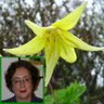 Frances Bell Photo 28