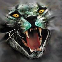 Naveed Yousaf Photo 6